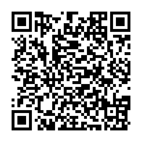 QR code for ZZJ 313