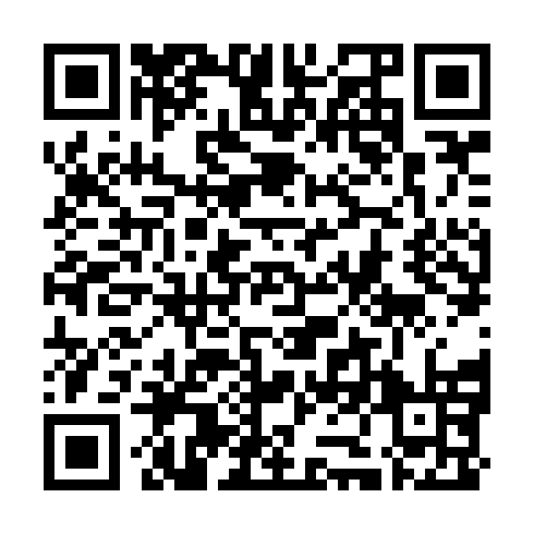 QR code for ZZM 595