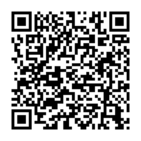 QR code for ZZO 958