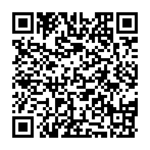 QR code for plate ZZP 895