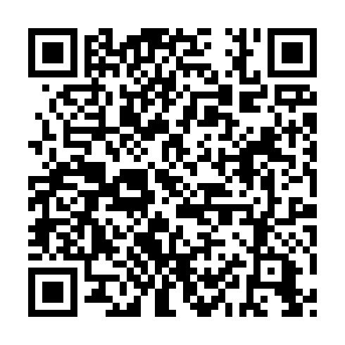 QR code for plate ZZR 600