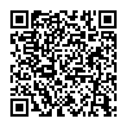 QR code for ZZS917