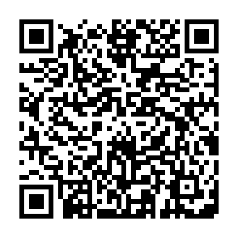 QR code for ZZT 009