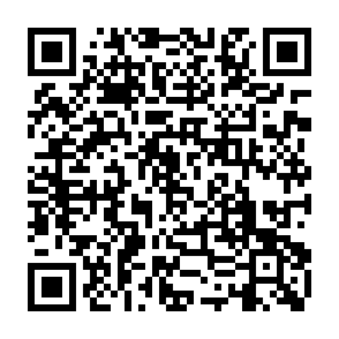 QR code for plate ZZU 956