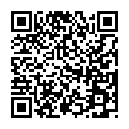 QR code for 00338