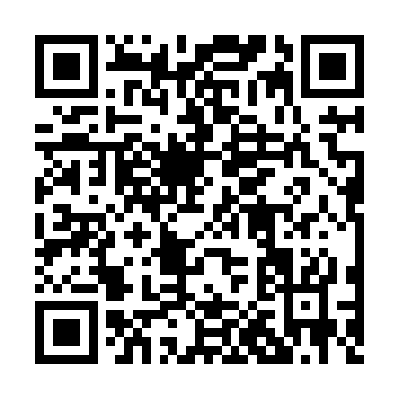 QR code for 00383