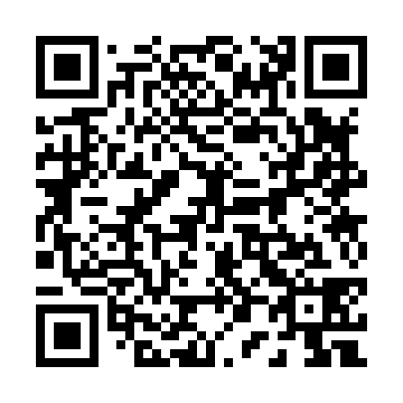 QR code for 003838
