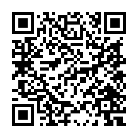 QR code for 00384