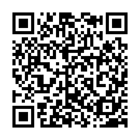 QR code for plate 006-370