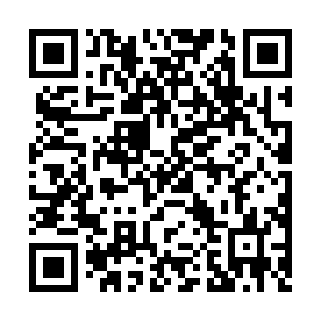 QR code for 006383