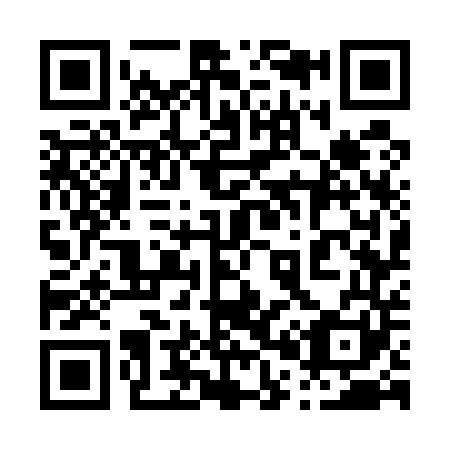 QR code for plate 007-541