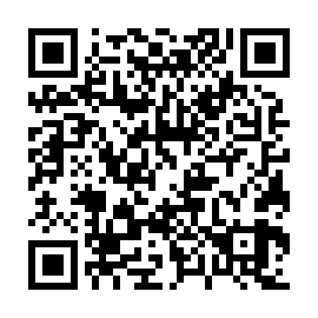 QR code for plate 007-869