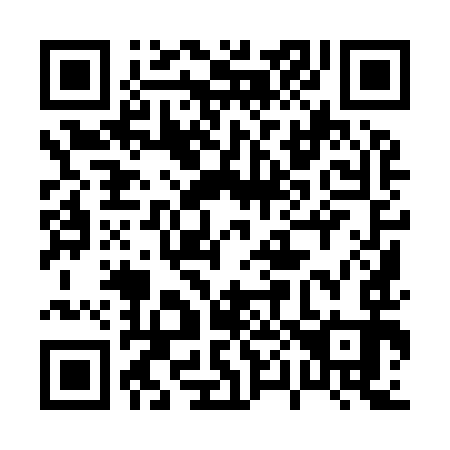 QR code for 009-993