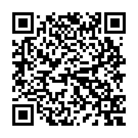 QR code for plate 009-335