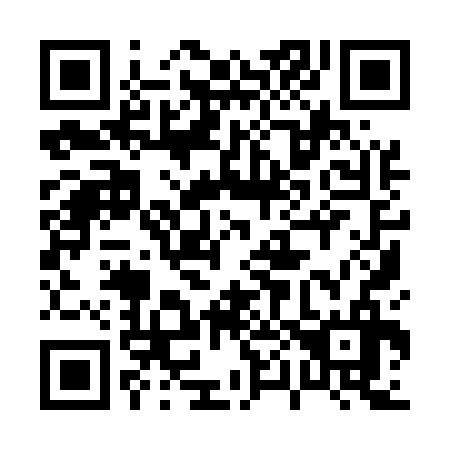 QR code for plate 009-536