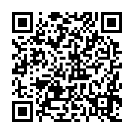 QR code for 010-397
