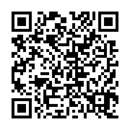 QR code for plate 010-704
