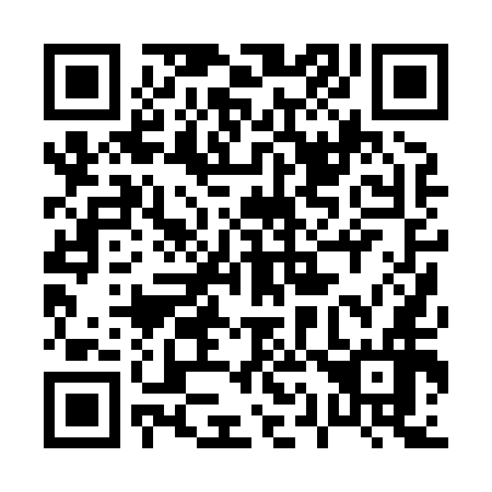 QR code for plate 010-856