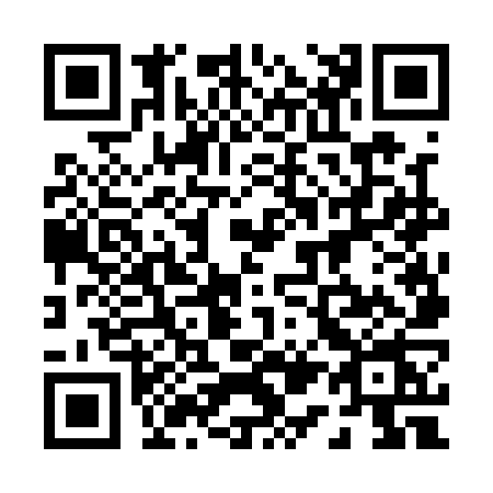 QR code for 0161