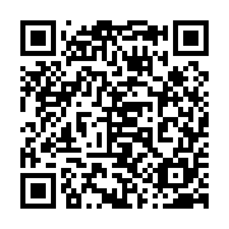 QR code for plate 017-155