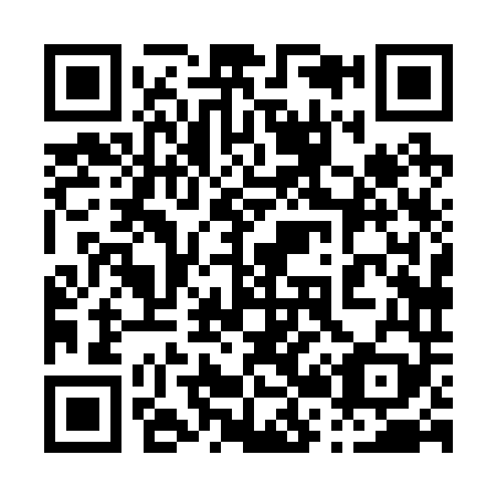 QR code for plate 028-249