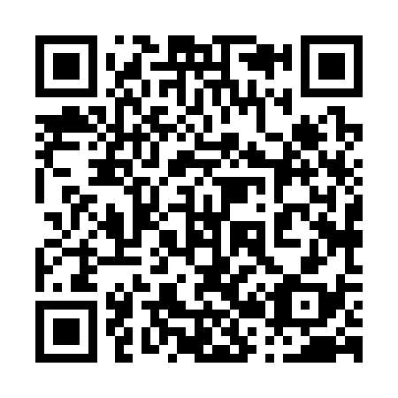 QR code for plate 028-338