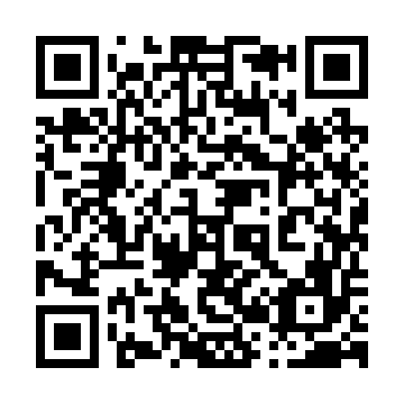 QR code for plate 029-256
