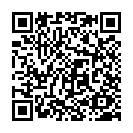QR code for 0295