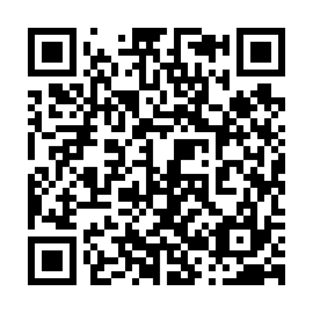 QR code for plate 029-637