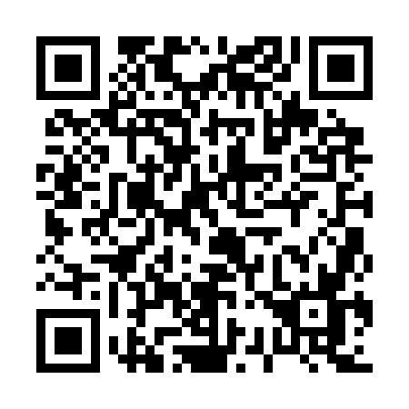 QR code for 0313