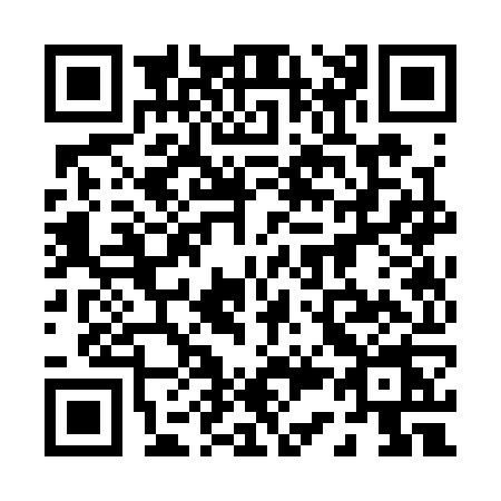 QR code for 0333