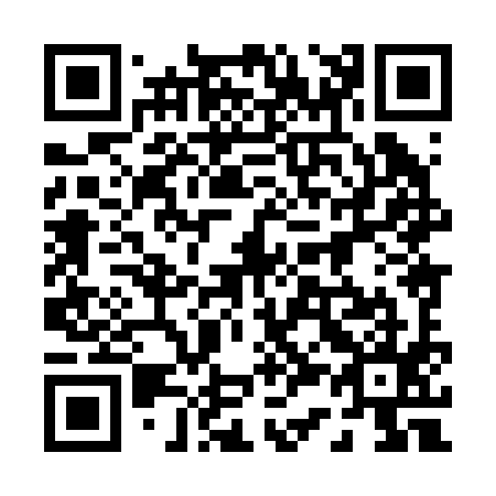 QR code for 038-295
