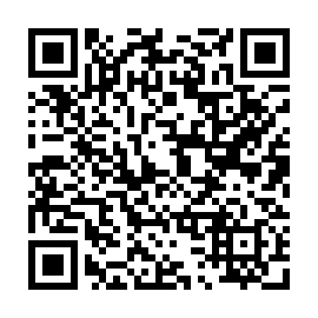 QR code for 038138