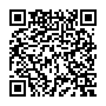 QR code for 0382