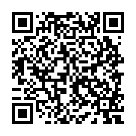 QR code for 038381