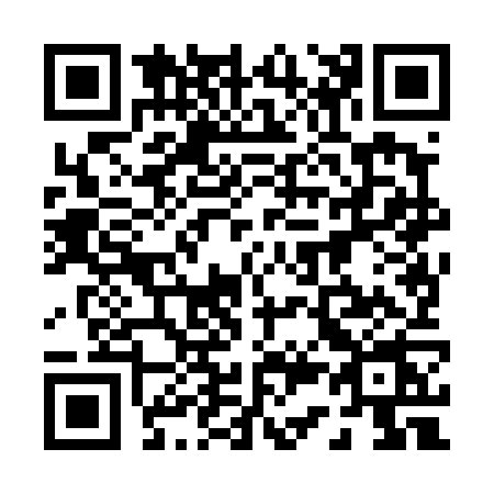 QR code for 0384