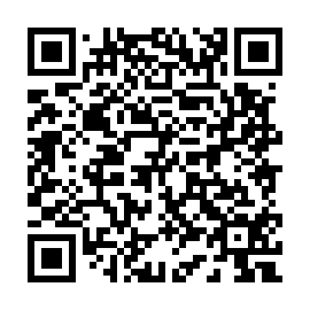 QR code for 038514