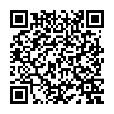 QR code for 0387