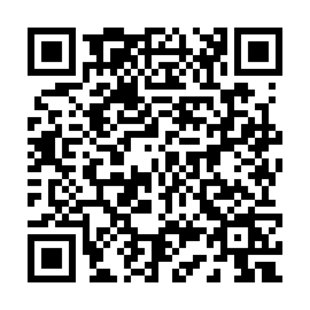 QR code for 0393