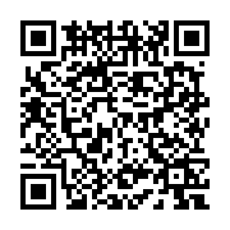 QR code for 0394