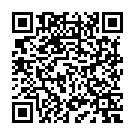 QR code for 0398