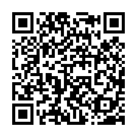QR code for plate 040-419