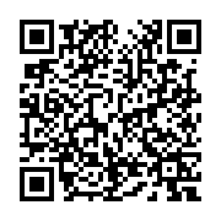QR code for 0411