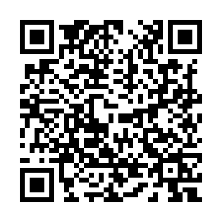 QR code for 0419