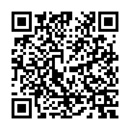 QR code for 0433