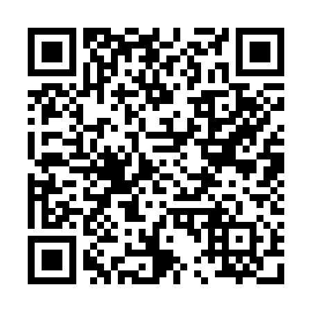 QR code for plate 043-310