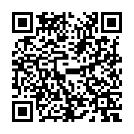 QR code for 0439