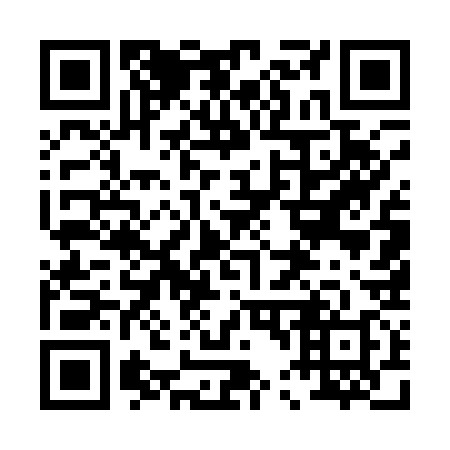 QR code for plate 045-138