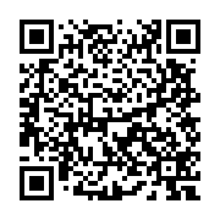 QR code for plate 047-519