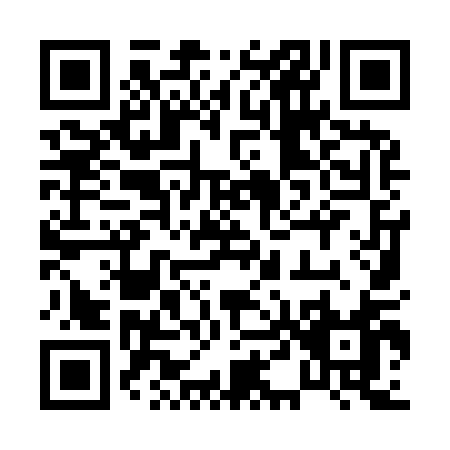 QR code for 04991